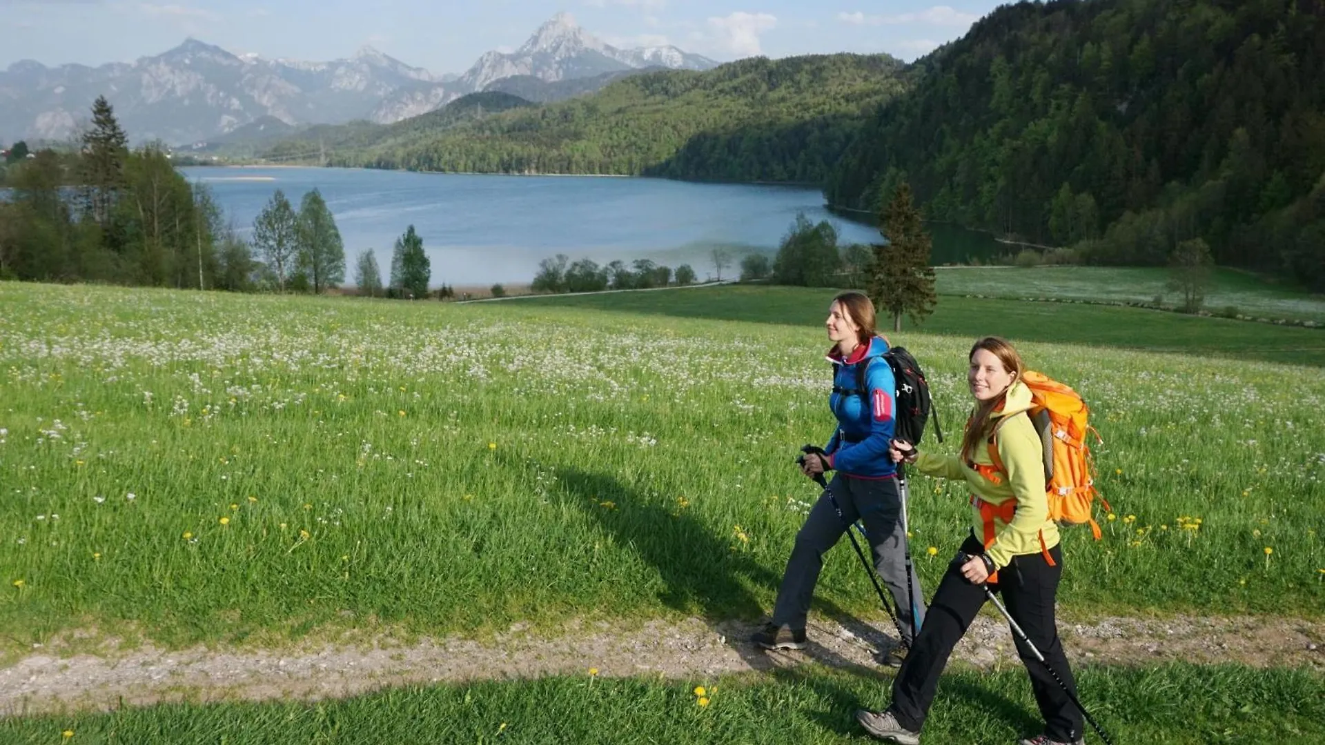 Ferienwohnung Bergwelten Pfronten 0*,  Germany